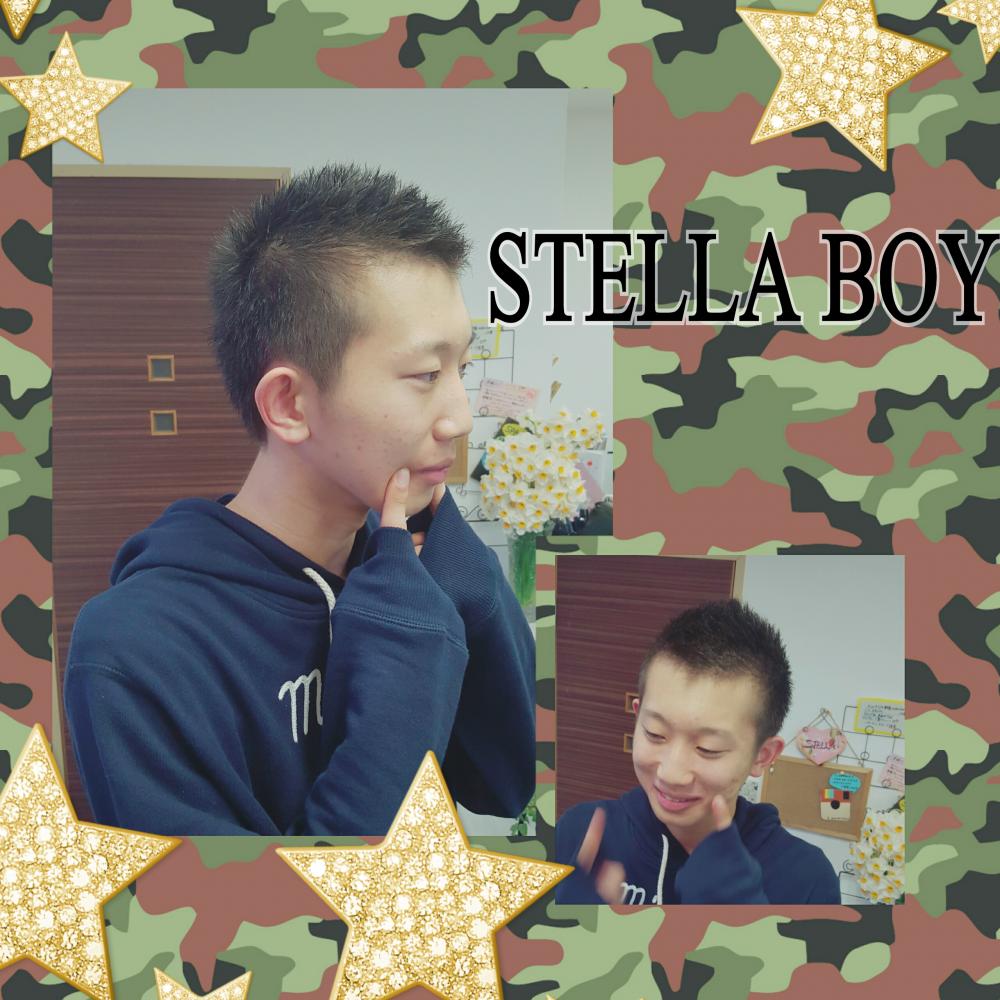 stella boy